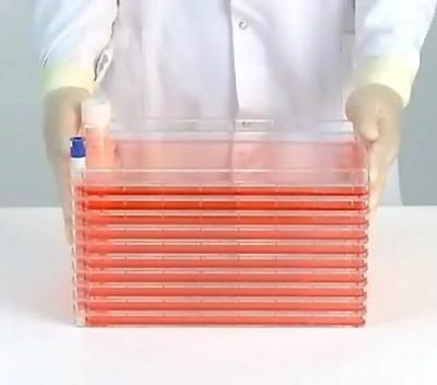 生物学技术的脊梁 运输商在细胞工厂中的关键作用