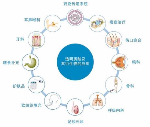 生物科技龙头华熙生物深度分析 现在是抄底良机吗？